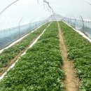 종순농장 이미지