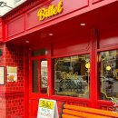 펫브런치 이미지