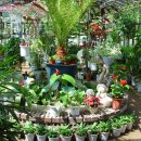 거제도애광원 이미지