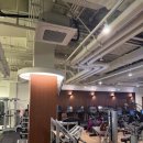 루트휘트니스 이미지