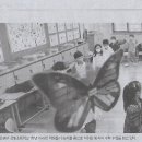 은빛초등학교 이미지