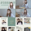 (주)플럼에이앤씨