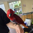 더27월풀펜션 이미지