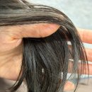 세정프라자 | 안산 고잔동 미용실 오뮤헤어 안산고잔2호점 준일 디자이너 클리닉 &amp; 컷트 후기