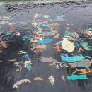 숨비소리 이미지