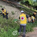 고탄교아래 이미지