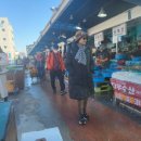 묵호어판장 이미지