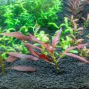 유경2호 이미지