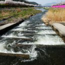 어도 - 강남구 언주로148길 14 | 어도