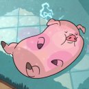 다이어트 앤 쿡 이미지