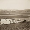 선성군 묘역 및 석물 | 중랑구 망우리의 땅이 들려주는 1912년의 기억 – 잊혀진 중랑의 유산을 찾아서