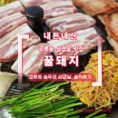 꿀돼지삼겹살 | 오류동 삼겹살 맛집 꿀돼지 솥뚜껑 삼겹살 내돈내산 후기 (부추 조합 미쳤어요)