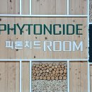 김해목재문화박물관 이미지