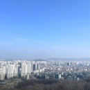 중앙칼라 이미지