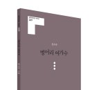 고양이날다 | [237] 벙어리 여가수 / 장시우 시집