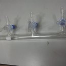 에스제이바이오 이미지