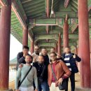 오스비스 이미지