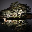 경복궁 야간 개장, 저도 다녀왔는데요...