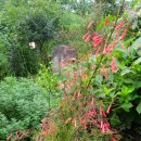 노상경로당 이미지