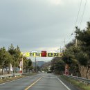 1번수산 | 천북굴단지 맛집] 천북 오픈런필수 맛집 "천북굴단지 서광굴수산" 1번 코스로 제철굴 즐기고 온 후기🦪🦪🦪
