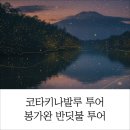 반딧불마을 | 코타키나발루 봉가완 반딧불 투어 후기