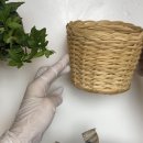 봄 맞이 힐링 라탄 이미지