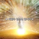 SNPE바른자세운동