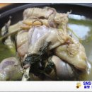 진산농장 이미지