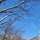 소야리 버스정류장 이미지