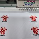 육광미트