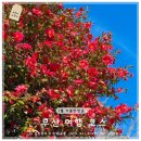 감천산림공원 | 1월 부산 가볼만한곳 겨울 여행 코스