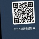도그스타 | 수원 호매실 동물병원 추천! 합리적인 진료 ‘도그스타 동물병원’
