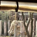 애니카랜드 서대구점 | 에버랜드 크리스마스 웨이팅후기 산타빌리지 스마트줄서기 kt생일할인