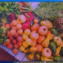 장수유기질 이미지