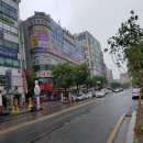 둔산로 이미지