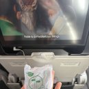 1036 | 부다페스트에서 인천 터키항공 이용 후기 TK1036, TK0090 기내식, 지연 등