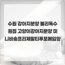 블리독수원점 고양이강아지분양 미니비숑프리제말티푸포메입양 | 관리사가 지키는 건강함 수원 강아지분양 블리독수원점 고양이강아지분양 미니비숑프리제말티푸포메입양