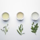 편강한의원 이미지