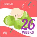 송탄효자약국 | 임신 26주차 평택라움산부인과 검진, 유럽태교여행 비상약, 임신영문의사진단서