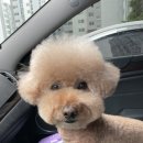 개in공간