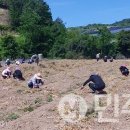 쌍백면사무소 이미지