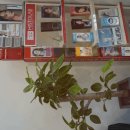 영피부과의원 이미지