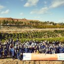 친환경태양목장 이미지