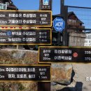 파도 한 송이 이미지