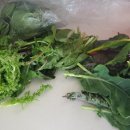 백월농장 이미지