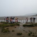 백상어린이집 이미지