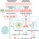 Re:Re: Diet in Parkinson&#39;s Disease: Critical Role for the Microbiome 이미지