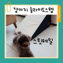 스윗펫 | 스윗테일 강아지 슬라이드스텝 논슬립 베이직 딥그레이 사용 후기