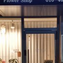 신월동194 이미지