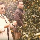 김종필농장 이미지